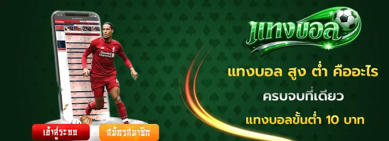 แทงบอล สูง ต่ำ คืออะไร